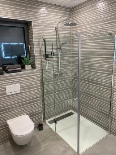 a bathroom with a shower with a toilet and a glass shower stall at Ferienwohnungen Nalbach Bierbach Wohnung 2 in Nalbach