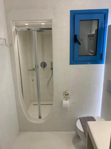 a bathroom with a shower with a blue picture on the wall at Blue Sea Villa & Apartments in Makry Gialos