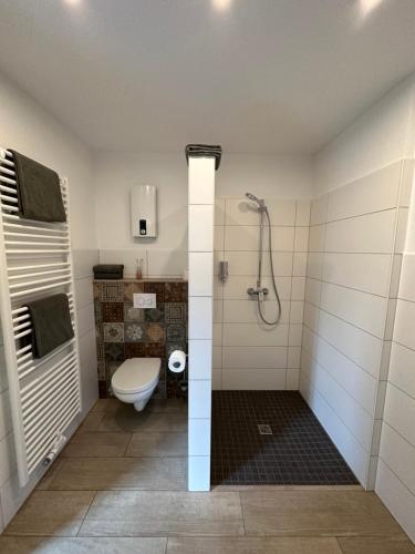 a bathroom with a toilet and a shower at Apartments am Moselufer in Bruttig-Fankel