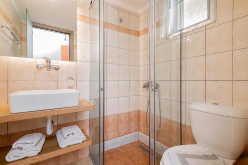 a bathroom with a shower and a toilet and a sink at Katerina Palace Studio 1 in Argassi