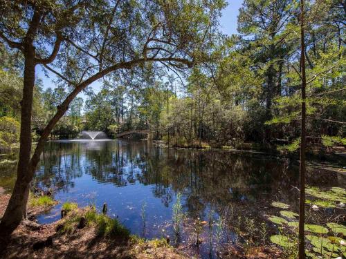a view of a pond in a park with trees at 30A Rise and Shine in Seagrove Beach