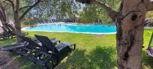 a pool with two chairs next to a tree at B&B Dimora dell' Etna in Milo
