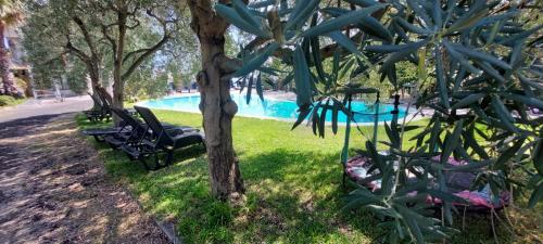 a group of chairs sitting next to a swimming pool at B&B Dimora dell' Etna in Milo