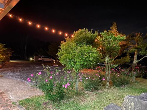Ein Garten an der Unterkunft Oh! Yosuw BnB