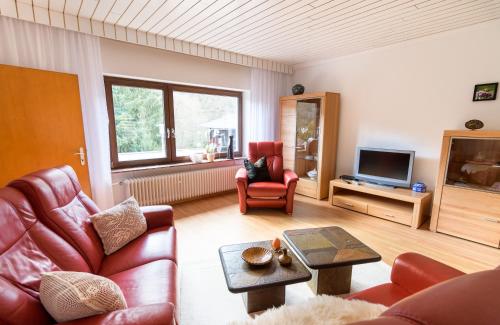 a living room with a couch and a tv at Haus Kallin in Idar-Oberstein