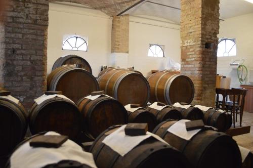 a bunch of wooden barrels in a room at Agriturismo Cavazzone in Regnano