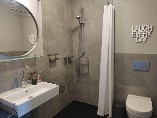 a bathroom with a sink and a shower and a toilet at Ferienwohnungen Klosterhof1595 in Sipplingen
