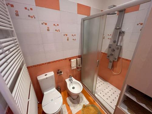uma pequena casa de banho com WC e chuveiro em i tulipani em Miagliano