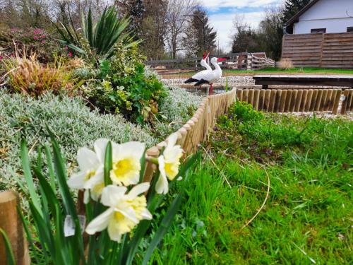 Un jardín fuera de Őrségi Kistücsök Vendégház