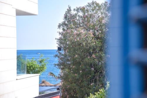 Gallery image of Apartment Plazza Rafailovici in Rafailovici