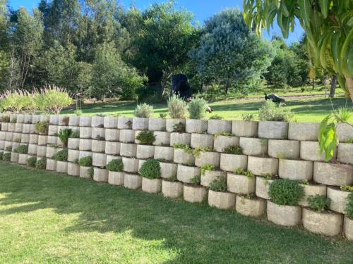 a stone retaining wall with plants in a yard at Tonquani - Knysna (est. 2022) in Knysna