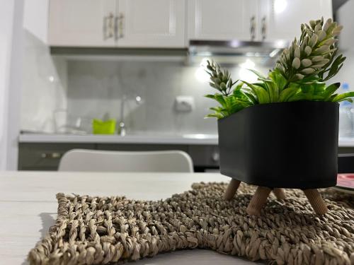 Gallery image of Beach House Gjiri i Lalzit in Mullini i Danit