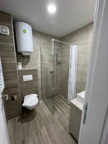 a bathroom with a shower and a toilet and a sink at Mountain Bliss Residence - Milmari Spa & Wellness in Kopaonik