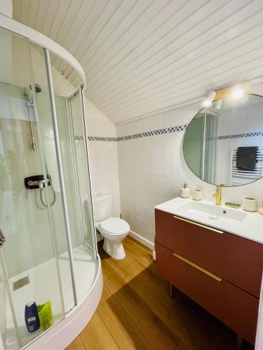 une salle de bain avec une douche, un lavabo et des toilettes dans l'établissement Charmant appartement idéalement situé, à Saint-Lary-Soulan