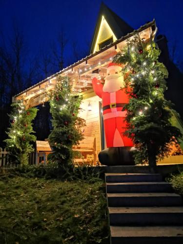 a house with christmas trees in front of it at Koliba Pčelica 2 in Bijelo Polje