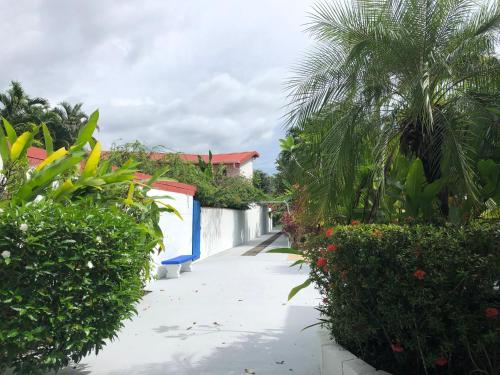 a walkway through a garden with palm trees and a building at La Perlita in Jacó