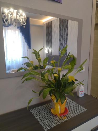 a plant sitting on a table in front of a mirror at La Casa di Sonia in Savona