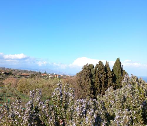 Etna Green House – Photos 5