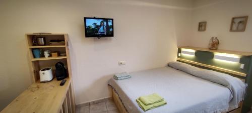 1 dormitorio con 1 cama y TV en la pared en La Casa al Roura, en Sant Martí d’Empúries