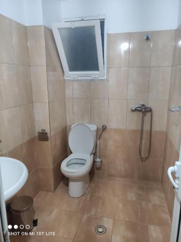 uma casa de banho com um WC, um lavatório e um chuveiro em IONIAN PEARL em Borsh