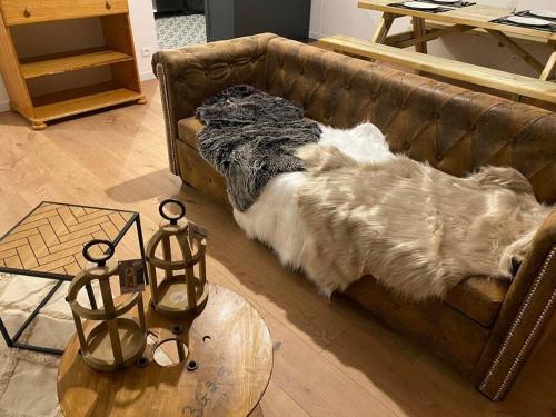 ein Hund, der auf einer Couch in einem Wohnzimmer liegt in der Unterkunft O'Léman avec Sauna inclus in Thonon-les-Bains