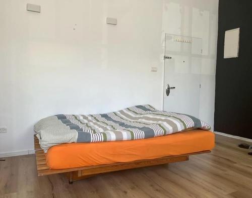 Bright Studio in Shapira