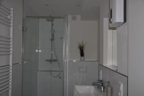 een badkamer met een douche en een wastafel bij Lieblingsplatz Apartement am Steinhuder Meer in Wunstorf