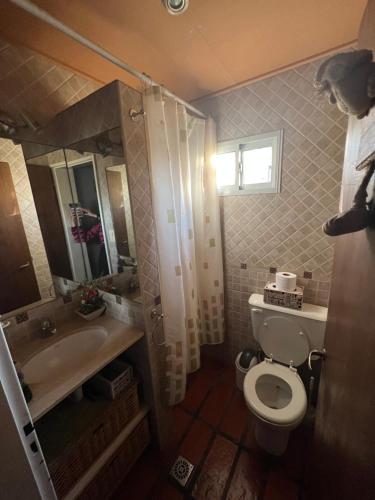 Departamento Pellegrini في تانديل: حمام صغير مع مرحاض ومغسلة