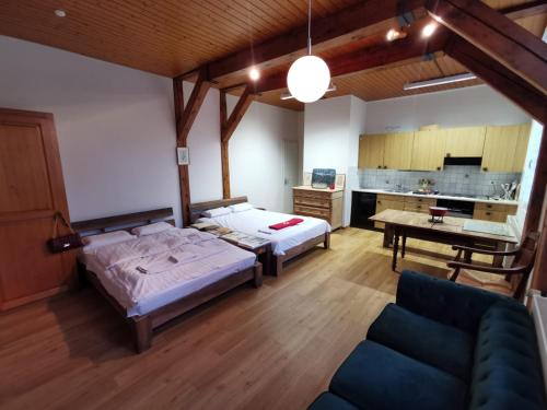 Großes Zimmer mit 2 Betten und einem Sofa in der Unterkunft Simple Studio in the Center of Burgdorf - 36 m2 with prívate parking in Burgdorf