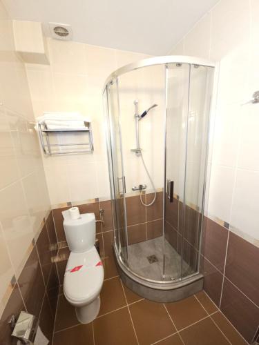 a bathroom with a toilet and a glass shower at Pensiunea Mușatinii in Putna