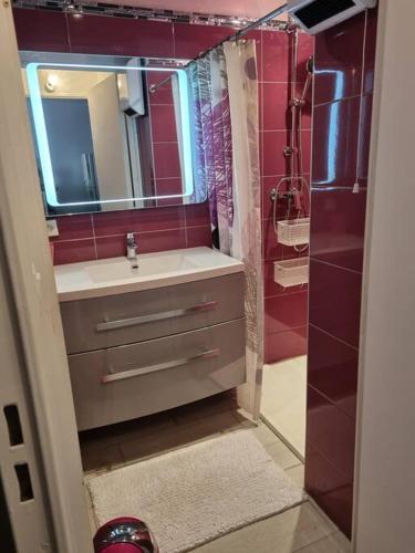 une salle de bain avec un lavabo et un miroir dans l'établissement T2 rez de jardins, à Cavalaire-sur-Mer