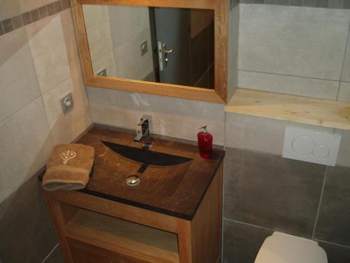 une salle de bain avec un lavabo et un miroir et des toilettes dans l'établissement Chalet Rum Doodle, à Pralognan-la-Vanoise