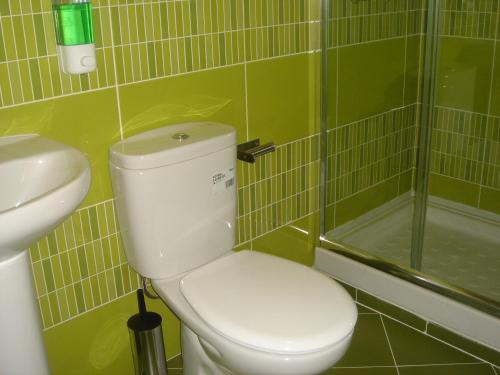 uma casa de banho com azulejos verdes, um WC e um chuveiro em Baixasuites em Lisboa