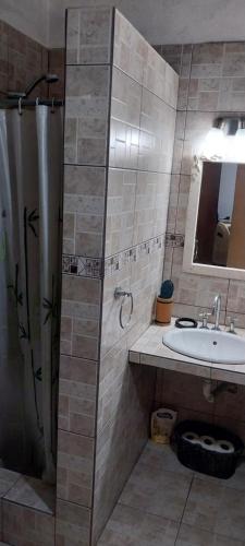 bagno con doccia e lavandino di CasaCocco a Olivos