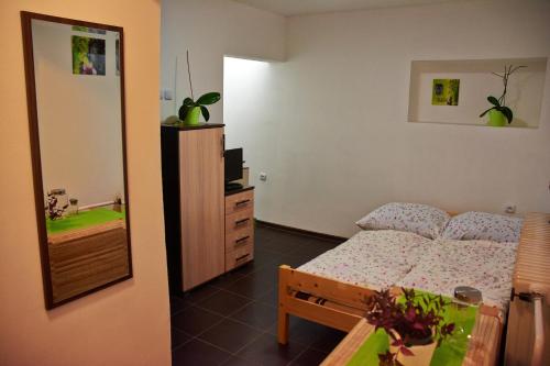 Gallery image of Apartment Pharamis in Bešeňová