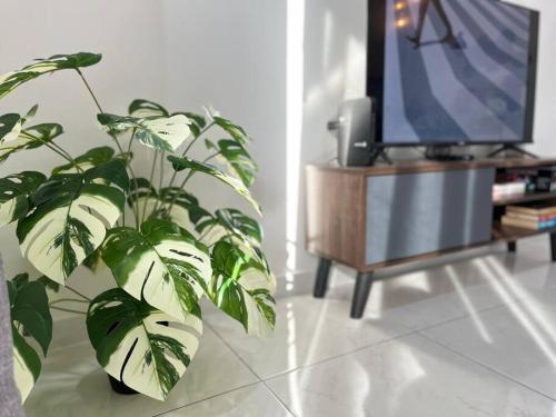 a potted plant in a living room with a tv at Sun Executive Suite Entire Unit @Bayan Lepas #5pax #Queensbay #SPICE #100Mbps in Bayan Lepas