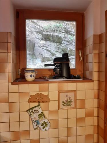 Forrásvölgy vendégház في جوسفافو: مطبخ مع نافذة وقمة كونتر