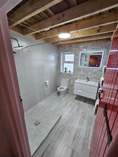 a bathroom with a toilet and a tub and a sink at Tiernan's Luxury Accommodation in Newtown-Dillon