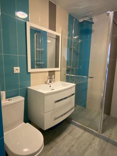 une salle de bain avec toilettes, lavabo et douche dans l'établissement Cagnes-sur-Mer, 50m de la mer, au calme, à Cagnes-sur-Mer