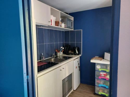 een keuken met een wastafel en een blauwe muur bij Aux abords du lac in Arles