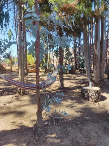 Φωτογραφία από το άλμπουμ του cabañas camino al totoral σε El Quisco