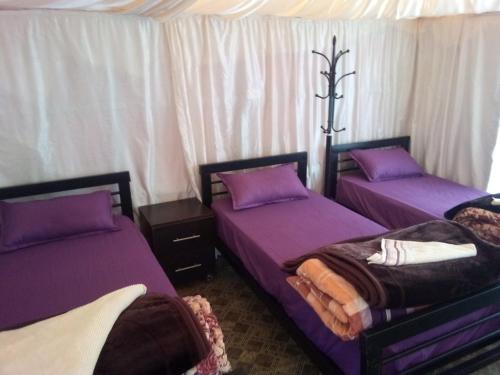 three beds in a room with purple sheets at Luner Camp at Wadi Rum in Wadi Rum