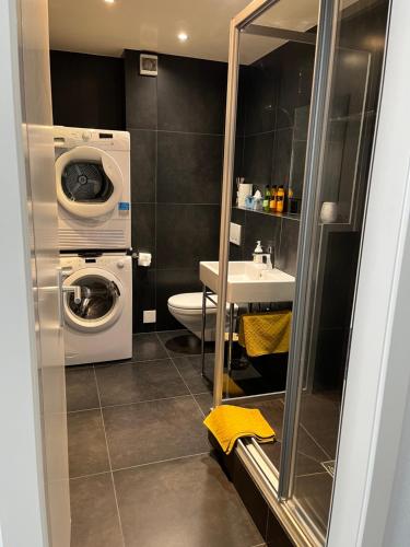 uma casa de banho com uma máquina de lavar roupa e um lavatório em Appartement Tourbillon centre-ville em Sião