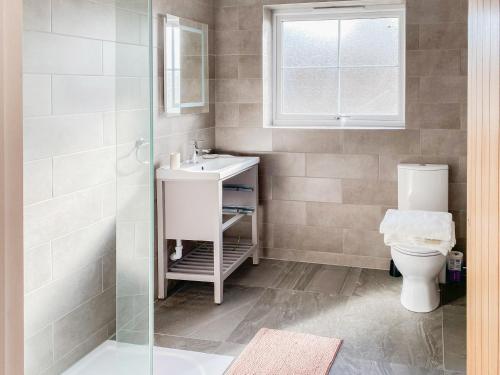 La salle de bains est pourvue d'un lavabo et de toilettes. dans l'établissement Glan Llyn Annex, à Whitford