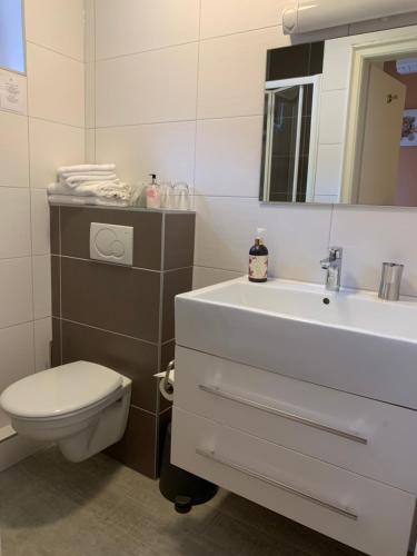 a bathroom with a toilet and a sink at Hotel SPA Au Cheval Blanc in Ribeauvillé