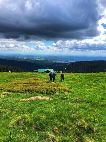 two people walking in a grassy field on a hill at Horská bouda KUPROVKA in Strážné