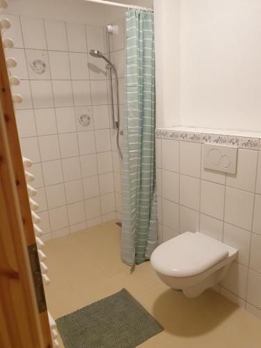 a bathroom with a toilet and a shower at Gegenüber der Mühle in Kall