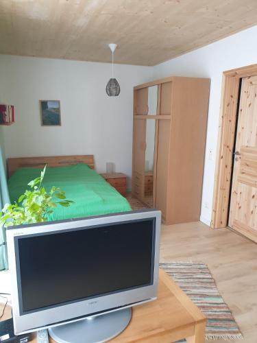 a television sitting on a table in a room with a bed at Gegenüber der Mühle in Kall