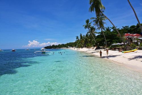 a beach with people in the water and palm trees at Barn Hostel in Panglao Island