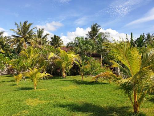a group of palm trees in a field of grass at Waiara Village Guesthouse in Maumere